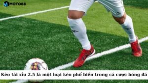 Kèo tài xỉu 2.5 là một loại kèo phổ biến trong cá cược bóng đá