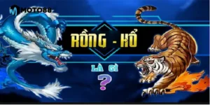 rong-ho-2