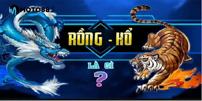 rong-ho-2